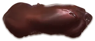 Wątroba wołowa